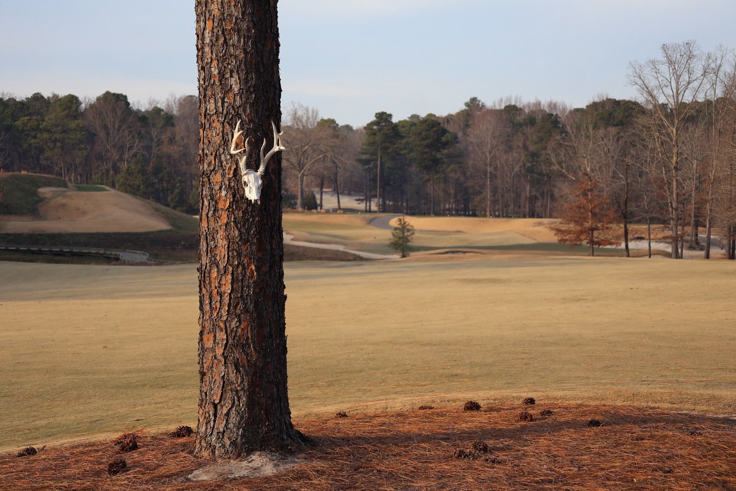 Tobacco's Winding Road